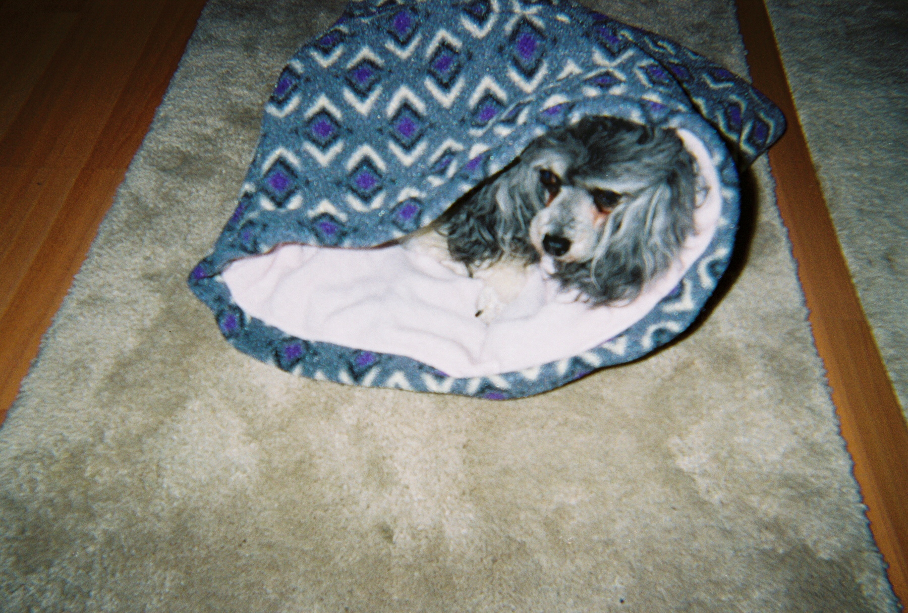 Snugglur-winter® Snugglur-winter®