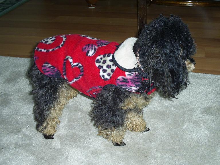 Fleece Coat