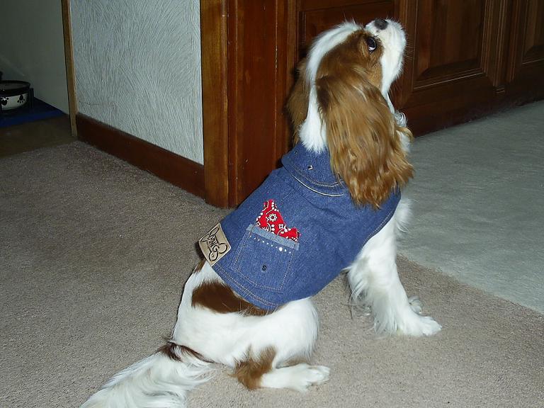 Bandanas