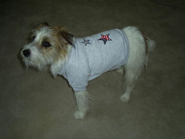 Sweatshirt�