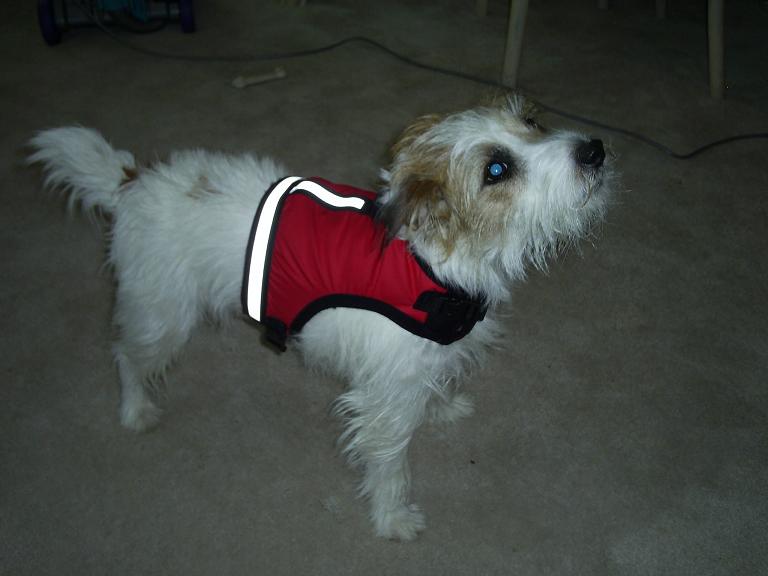 Soft Harness-winter�