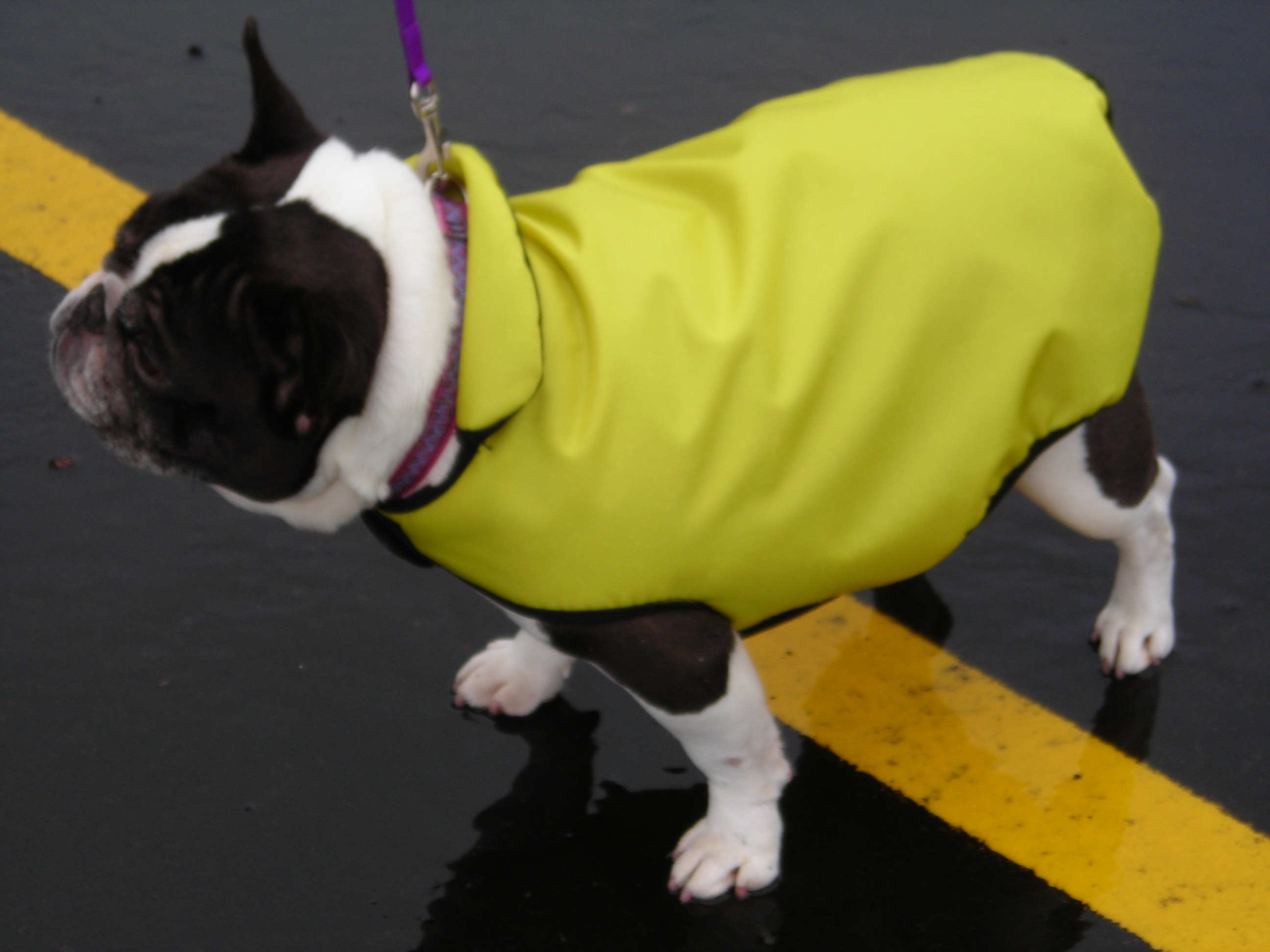 Slick-R-Coat�