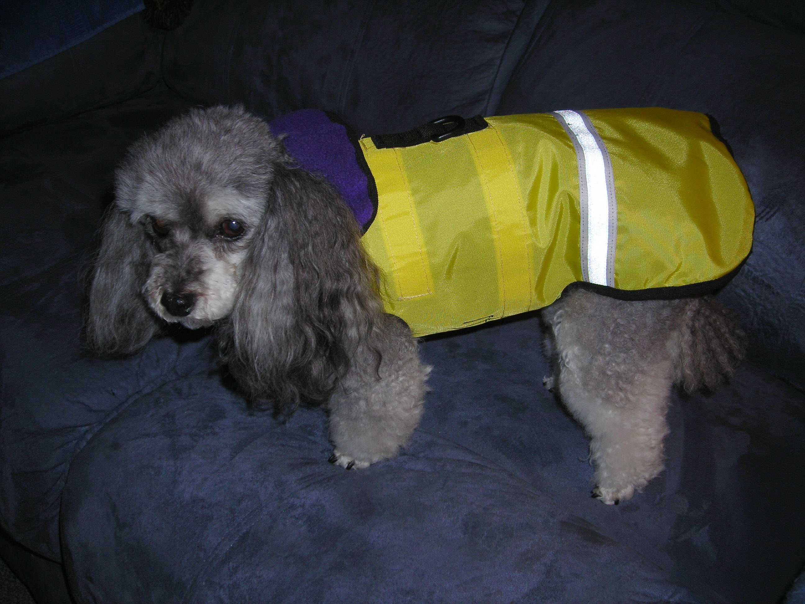 Harness Slick-R-Coat