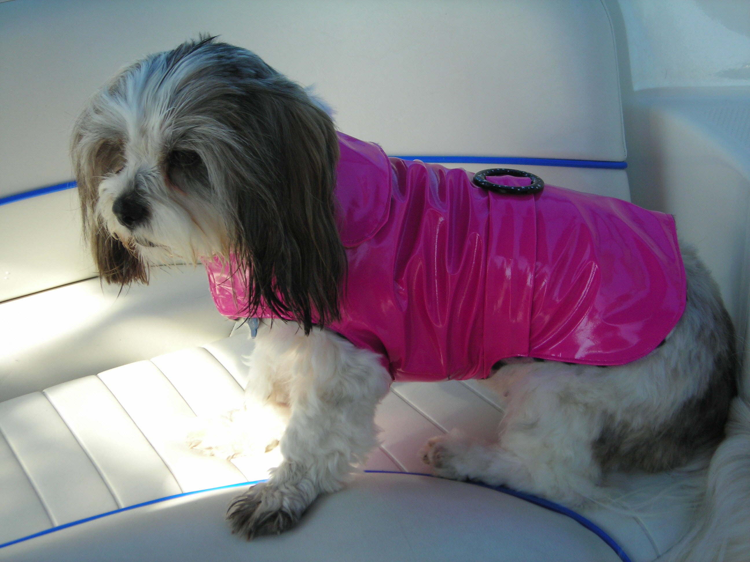 Fashion Coats