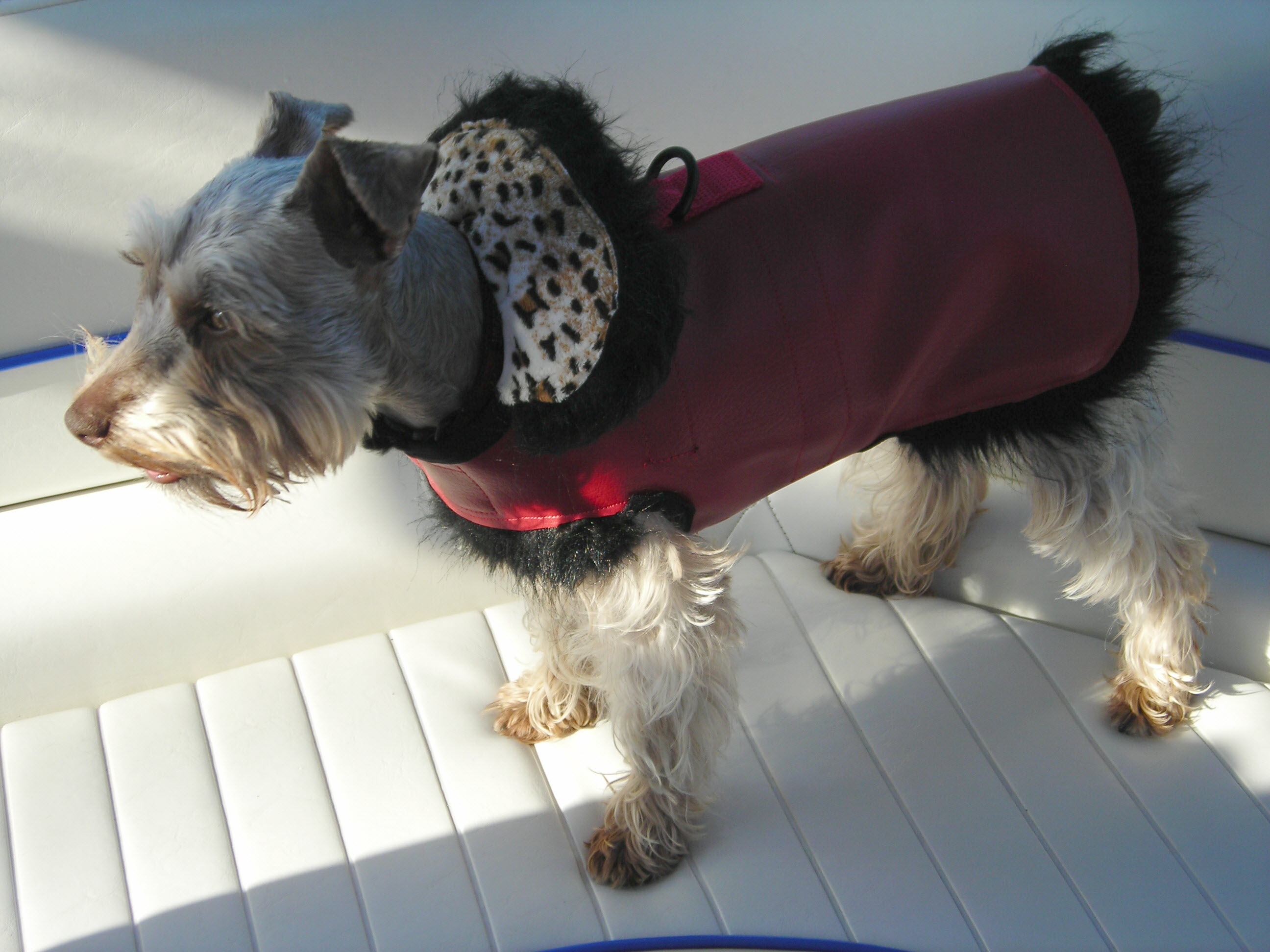 Fashion Harness Coat
